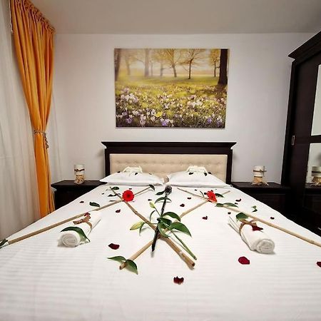Forest Intimate Hideaway - Sub Padure Love Nest Appartement Braşov Buitenkant foto